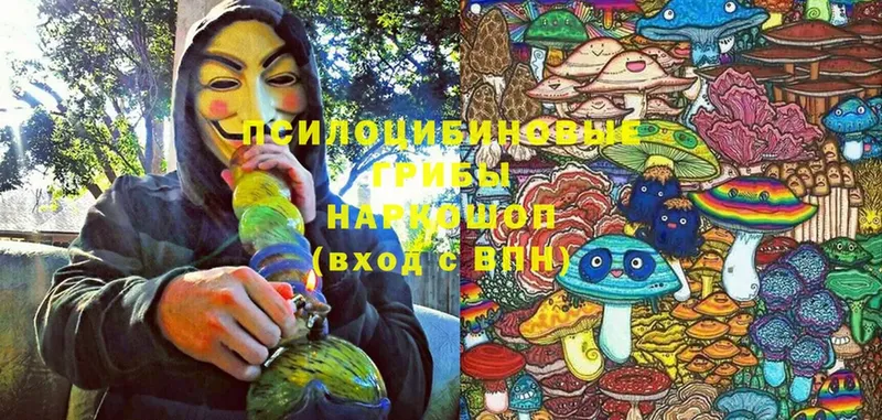 наркотики  Карачаевск  Галлюциногенные грибы MAGIC MUSHROOMS 